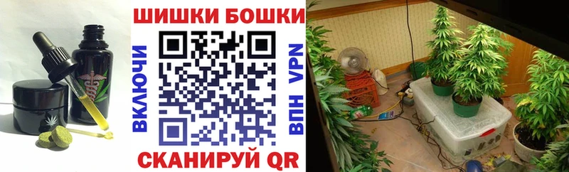 Canna-Cookies марихуана  Краснослободск 
