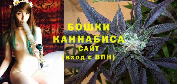 тгк Кулебаки
