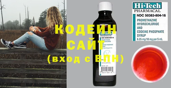 дживик Лагань