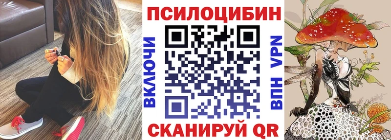 Галлюциногенные грибы MAGIC MUSHROOMS  MEGA зеркало  Краснослободск 